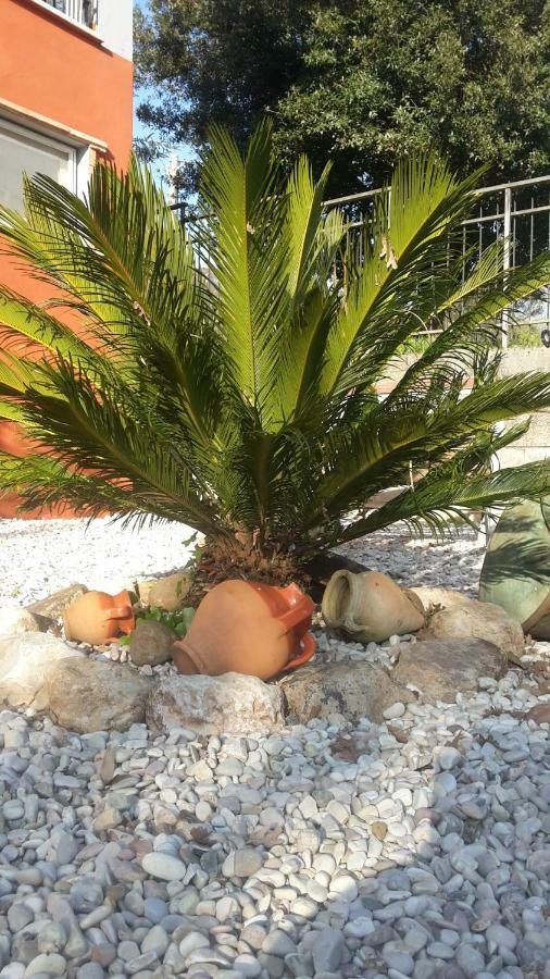 B&B La Mita Giuliano di Roma Екстериор снимка